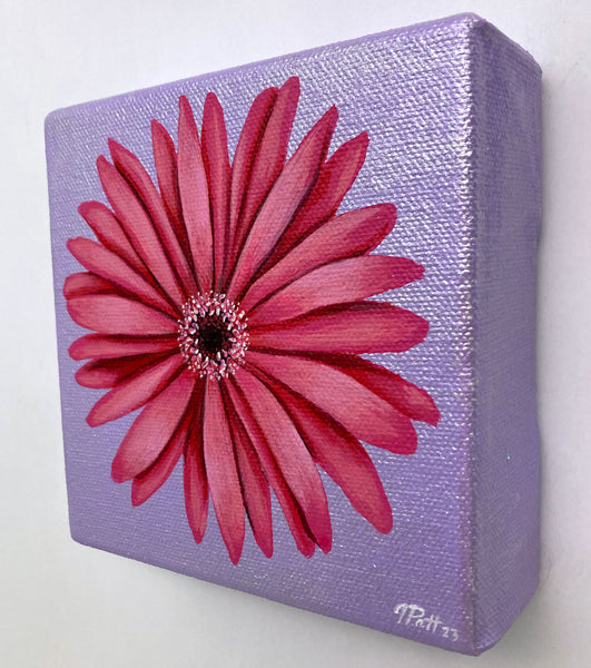 Custom Pink Daisy Mini Painting