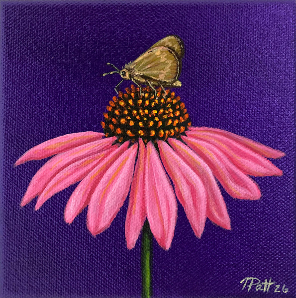 Coneflower Mini Painting