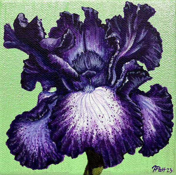 Custom Iris Mini Painting