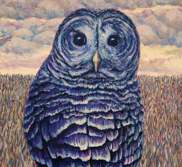 Evening Owl Original Painting