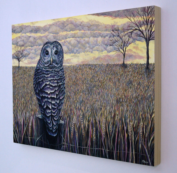 Evening Owl Original Painting