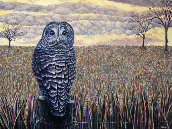 Evening Owl Original Painting