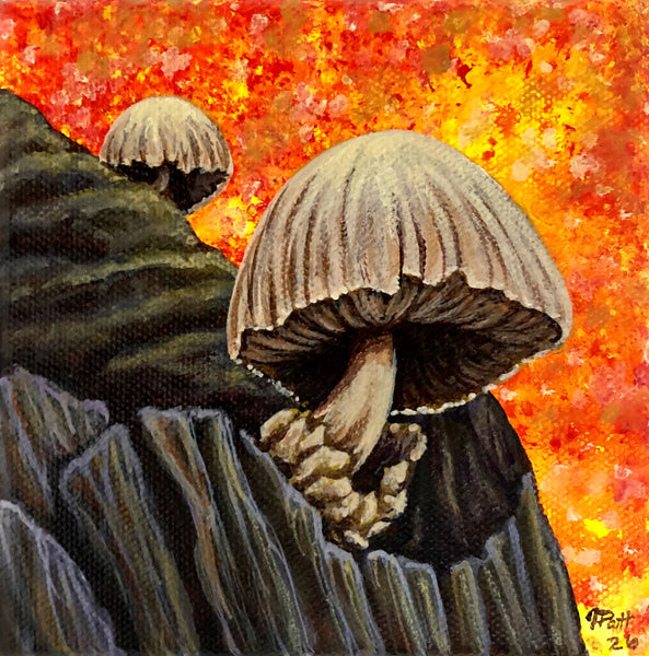 Fall Mushrooms Mini Painting