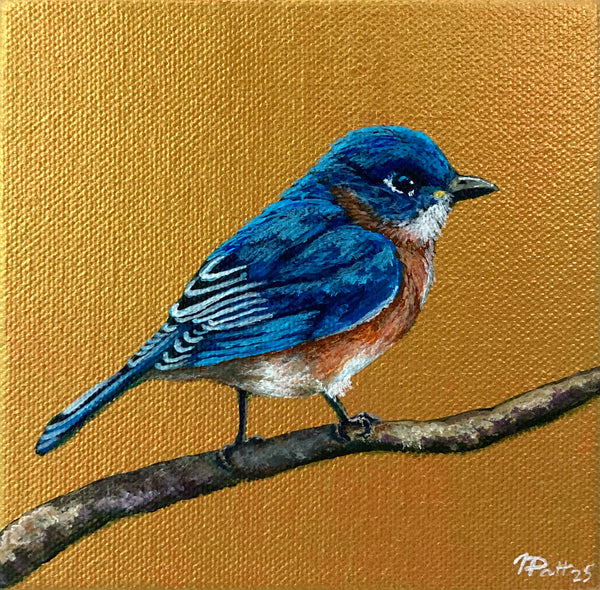 Morning Bluebird Mini Painting