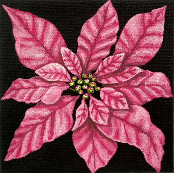 Pink Poinsettia Mini Painting