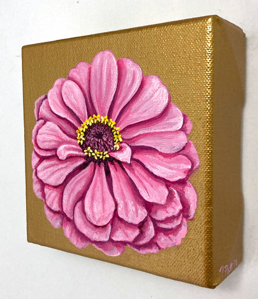 Soft Pink Zinnia Mini Painting
