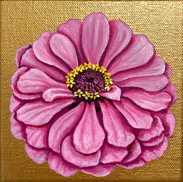Soft Pink Zinnia Mini Painting