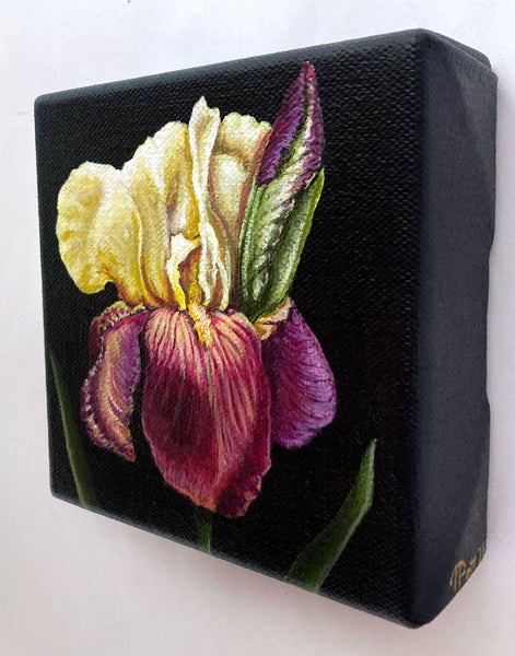 Spring Iris Mini Painting