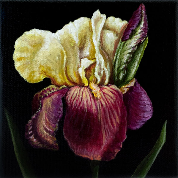 Spring Iris Mini Painting