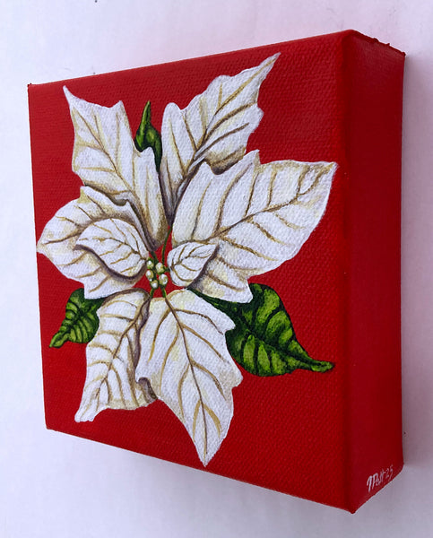 White Poinsettia Mini Painting