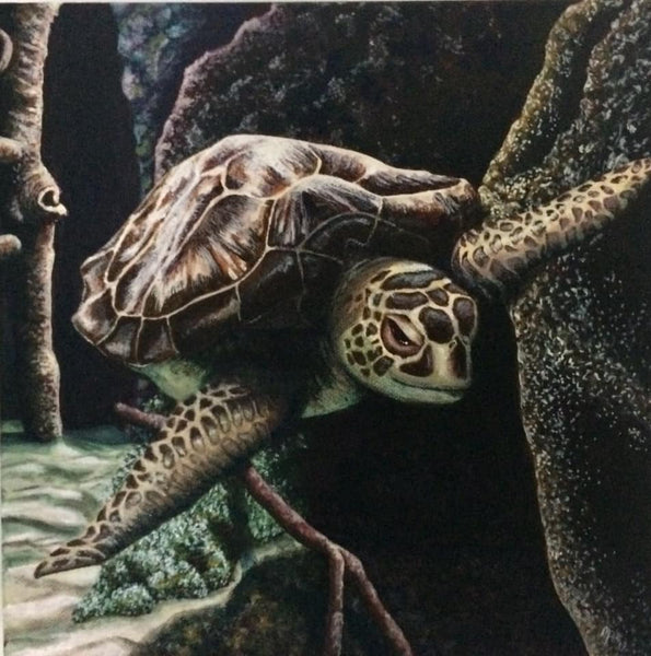 Turtle Original Painting