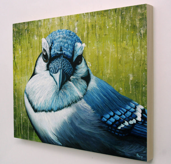 Blue Jay Original Painting
