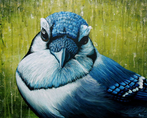 Blue Jay Original Painting